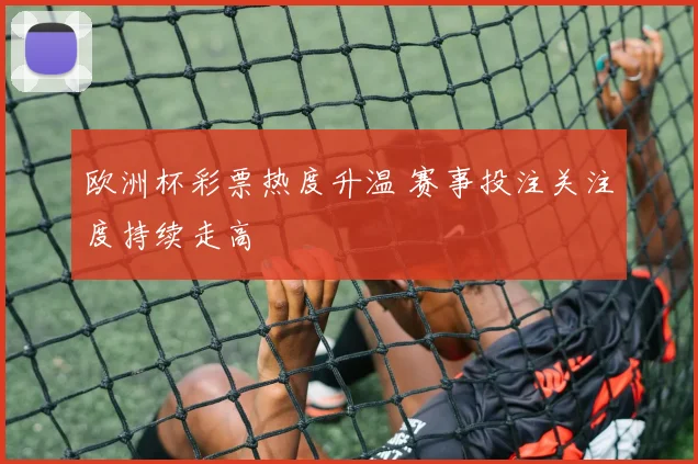 欧洲杯彩票热度升温 赛事投注关注度持续走高