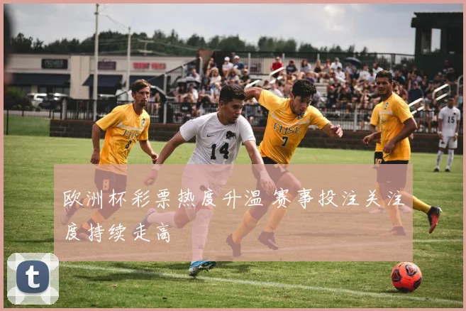 欧洲杯彩票热度升温 赛事投注关注度持续走高