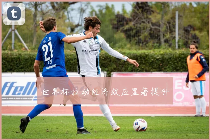 世界杯拉动经济效应显著提升