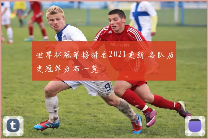 世界杯冠军榜排名2021更新 各队历史冠军分布一览